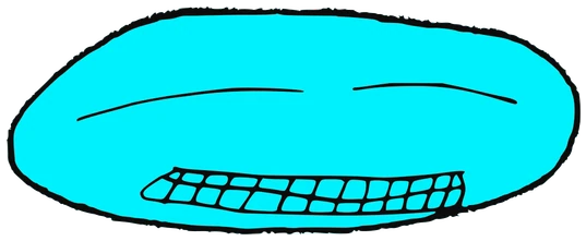Tempest, Tata #0646: a cyan Amoeba Tata, hand-drawn by Marcelo and Noel Morera (Tata 1000 Faces)