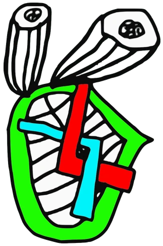 Medu, Tata #0955: a green, red and cyan Darwinism Tata, hand-drawn by Marcelo and Noel Morera (Tata 1000 Faces)